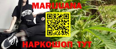 гидропоника Можга