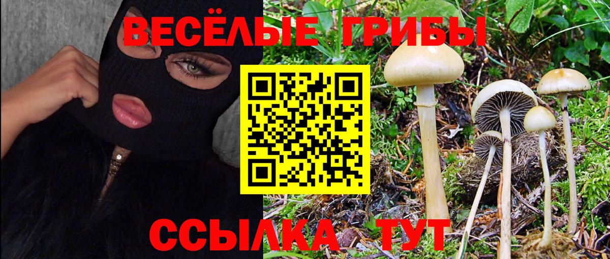 Псилоцибиновые грибы Magic Shrooms Бугульма