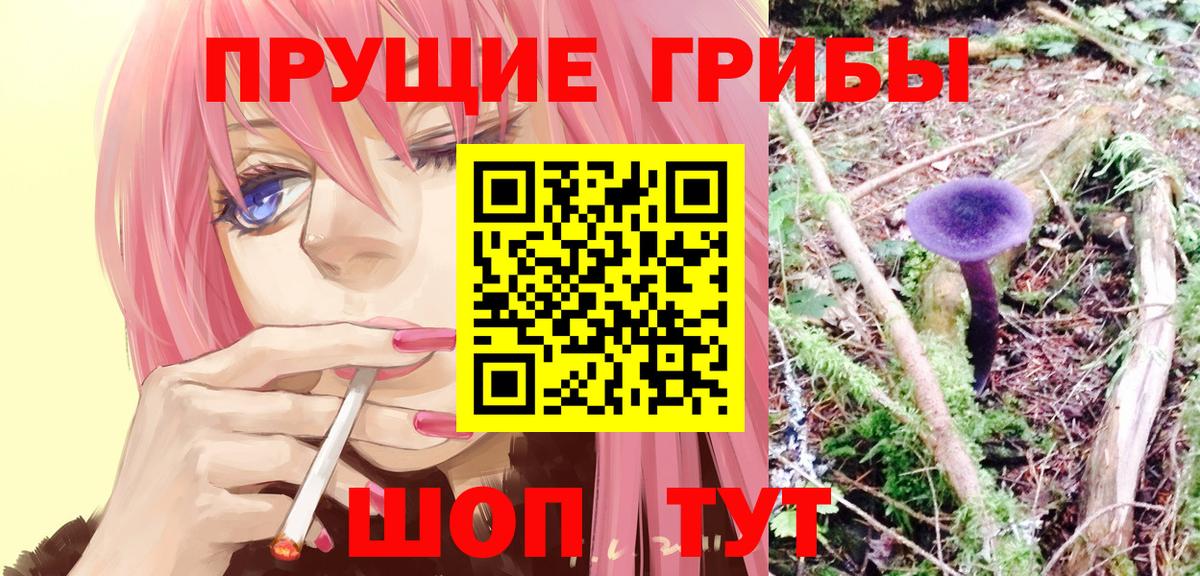 Псилоцибиновые грибы Cubensis  Галлюциногенные грибы Psilocybe  Вход с VPN  Бугульма 